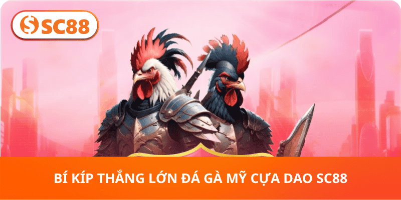 Bí Kíp Thắng Lớn Đá Gà Mỹ Cựa Dao SC88